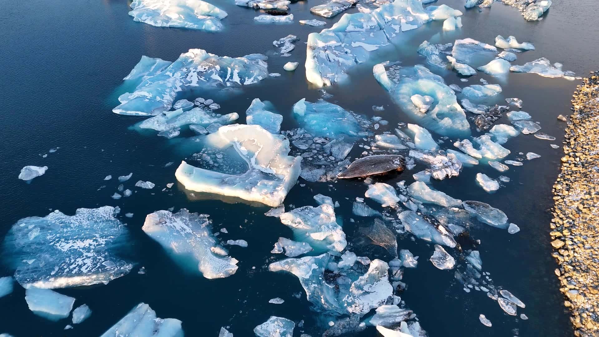 Icebergs drifting on Jökulsárlón glacier lagoon in daylight, seen from above with the gravel shore at the edge
